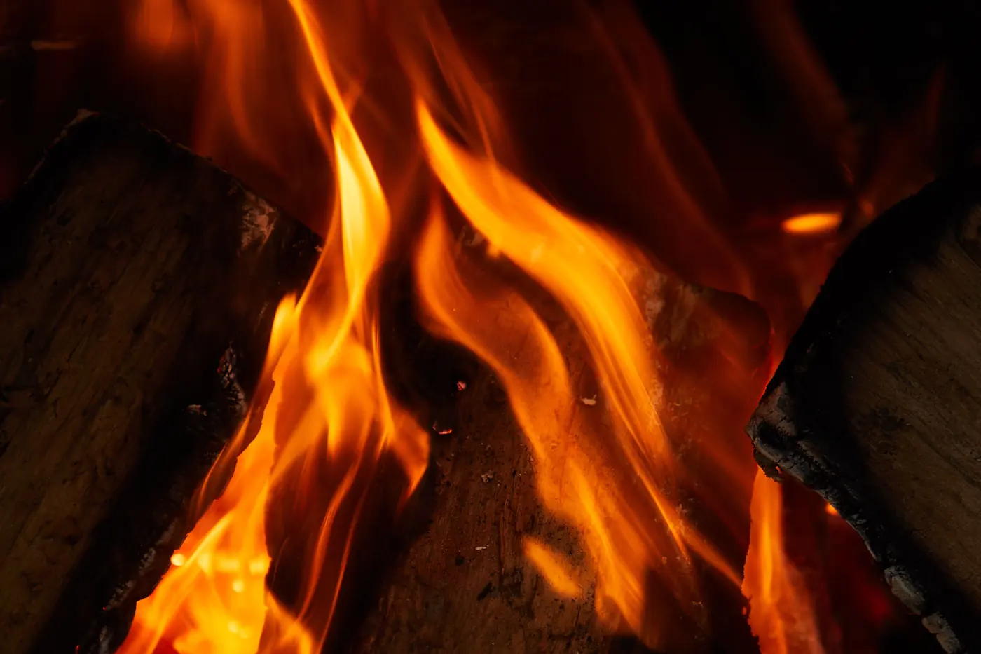 A flame rising from split firewood in the dark.