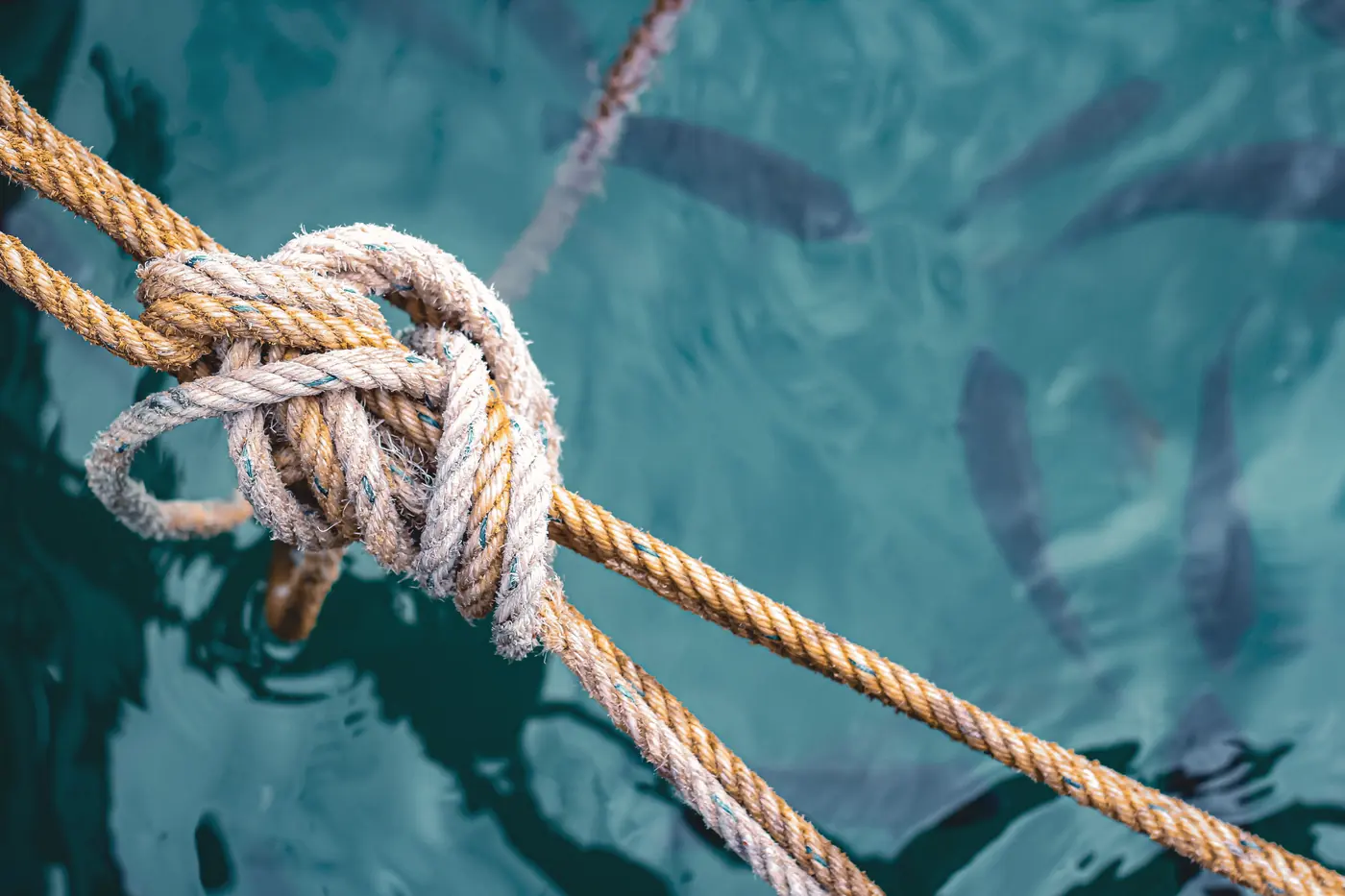 A mooring rope tied in a knot above clear teal water.