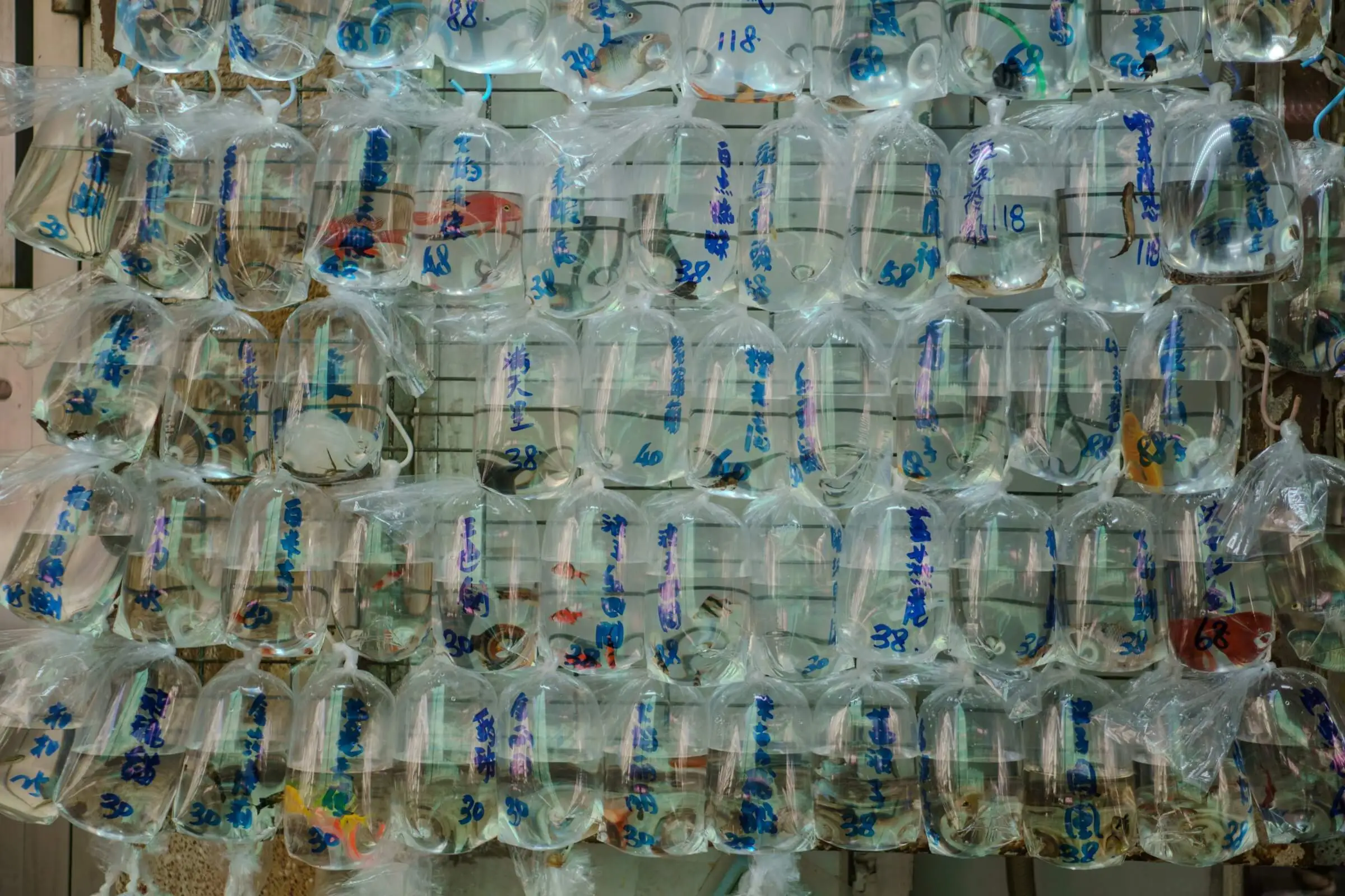 PFAS Removal